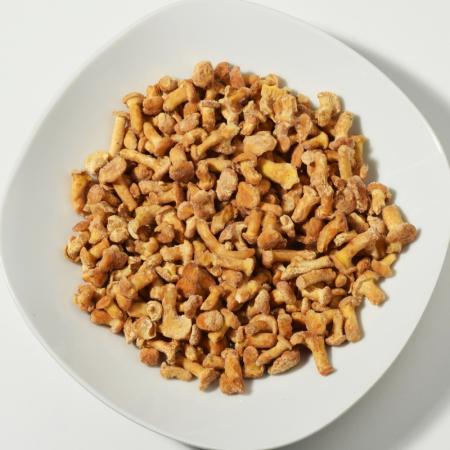 22 Pfifferlinge kleine.jpg